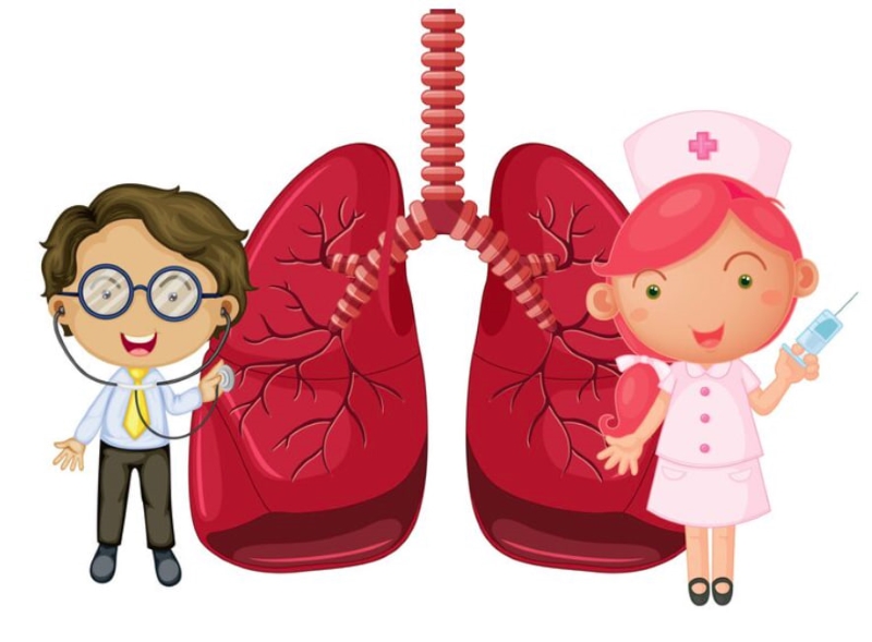 Hai lá phổi đảm nhận nhiều vai trò quan trọng đối với sức khỏe