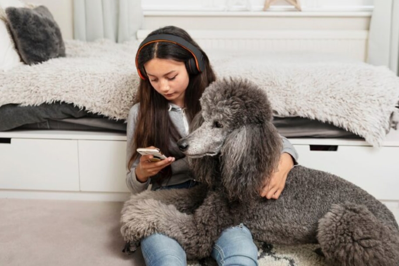 Người thường xuyên tiếp xúc với chó, mèo nên thực hiện xét nghiệm giun đũa chó mèo