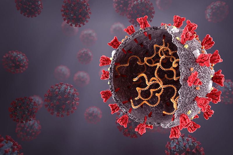 Sự lây nhiễm virus gây bệnh COVID-19 qua đường nào phổ biến nhất?
