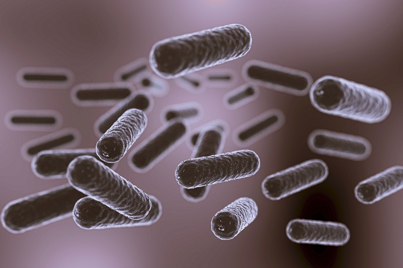 Ngộ độc botulinum xảy ra khi bị nhiễm khuẩn Clostridium botulinum