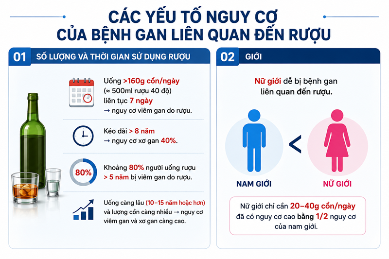 Lượng rượu sử dụng, thời gian uống và giới tính là những yếu tố có thể làm gia tăng nguy cơ mắc bệnh gan liên quan đến rượu. Hình minh họa, nguồn ảnh AI