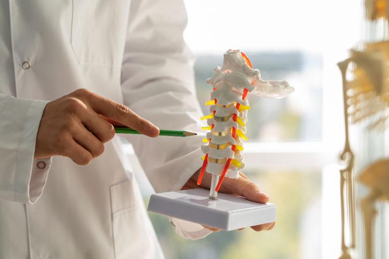 Gai đôi cột sống khiến vùng thắt lưng xuất hiện những cơn đau âm ỉ