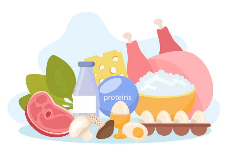 Mẹ nên bổ sung protein trong thực đơn hàng ngày