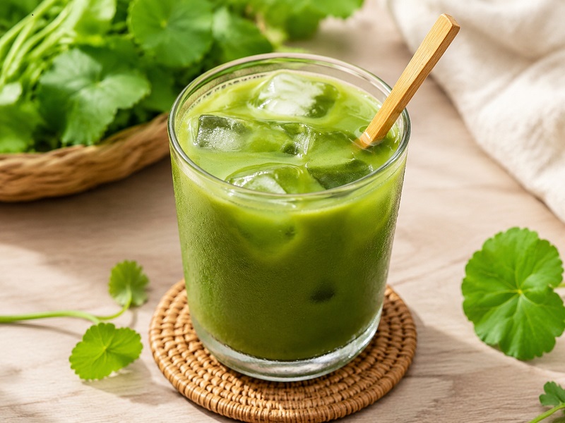 Người bị suy thận cần hỏi ý kiến bác sĩ trước khi dùng rau má để tránh ảnh hưởng đến quá trình kiểm soát bệnh. 