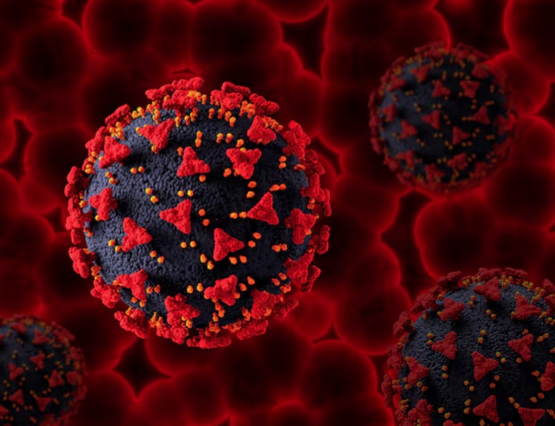 HIV là loại virus tấn công trực tiếp tới hệ miễn dịch của con người 