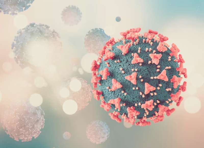 Virus HPV có khả năng xâm nhập vào cơ thể thông qua nhiều con đường