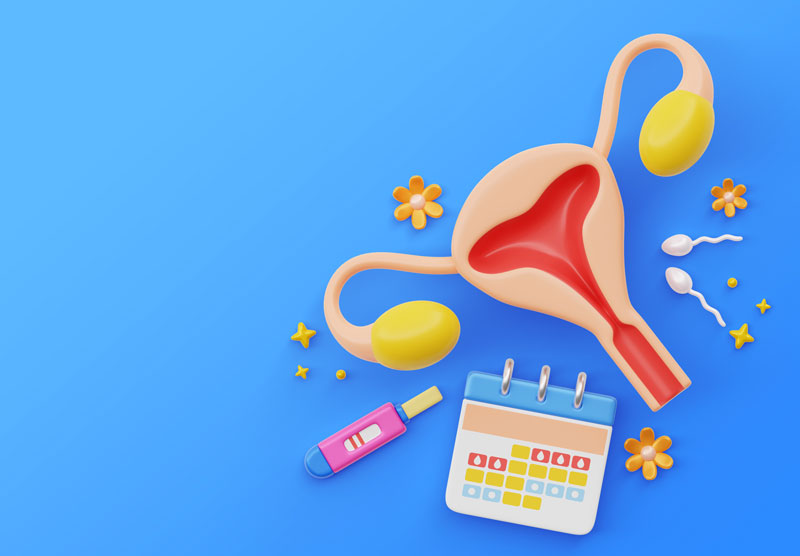 Rụng trứng là giai đoạn buồng trứng giải phóng noãn trưởng thành