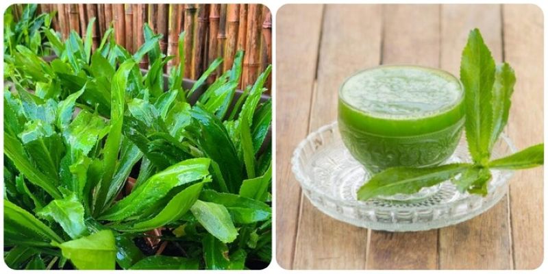 Mùi tàu hãm nước hoặc đun sôi uống trong ngày