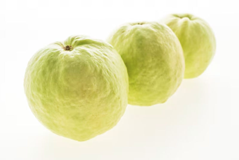 Ổi là loại hoa quả chứa vitamin C dồi dào