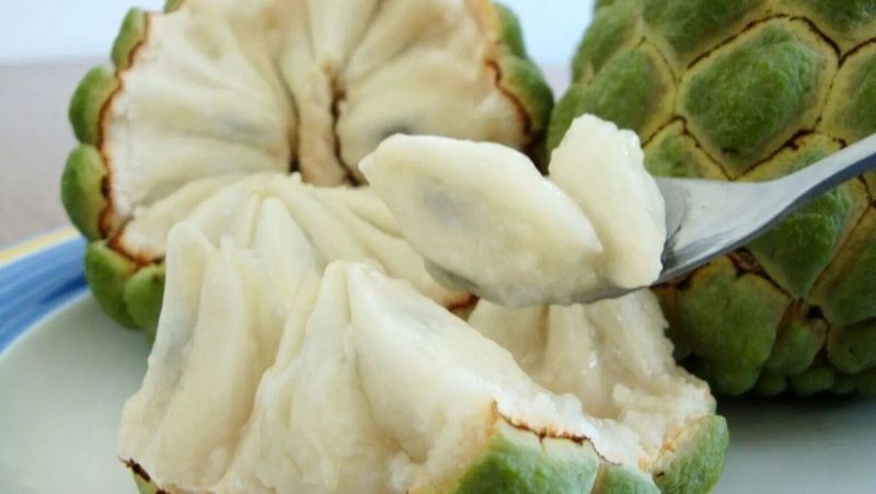 Nếu vô tình bạn nuốt phải hạt na còn nguyên vẹn thông thường sẽ không gây nhiễm độc cho cơ thể