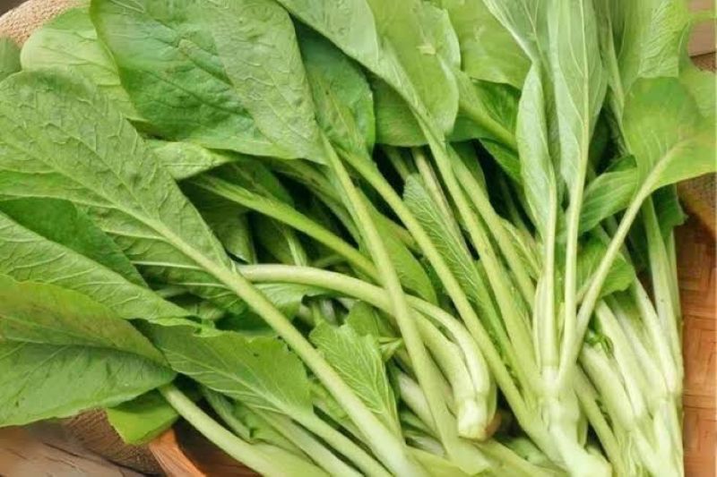Người bị thiếu máu cơ tim cục bộ nên ăn cải các loại rau xanh đậm
