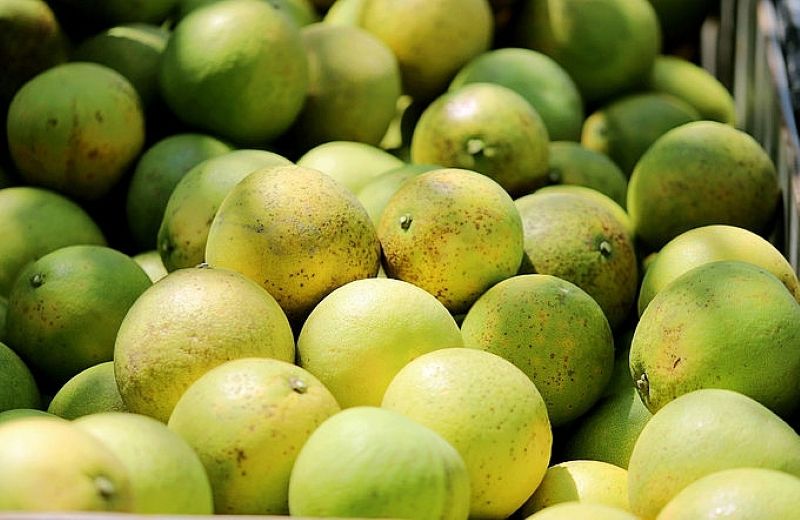 Bưởi là một trong những loại trái cây tốt cho người bệnh lý tim mạch