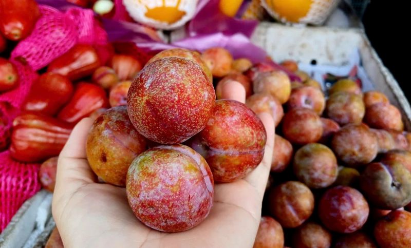 Người bị tiểu đường ăn mận được không là thắc mắc của nhiều người