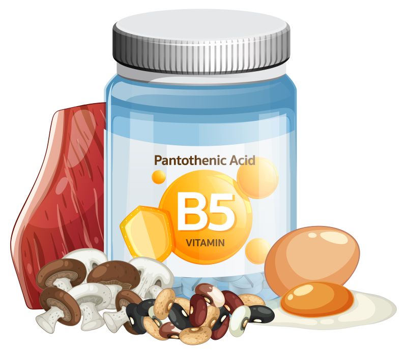 Vitamin B5 đóng vai trò quan trọng trong việc chuyển hóa tế bào