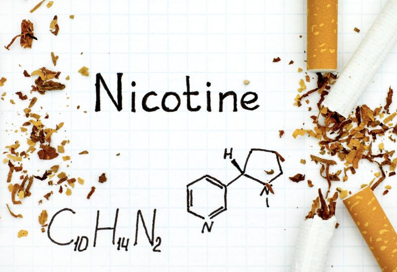 Nicotine trong khói thuốc là một chất gây nghiện mạnh, tác động trực tiếp lên hệ thần kinh trung ương