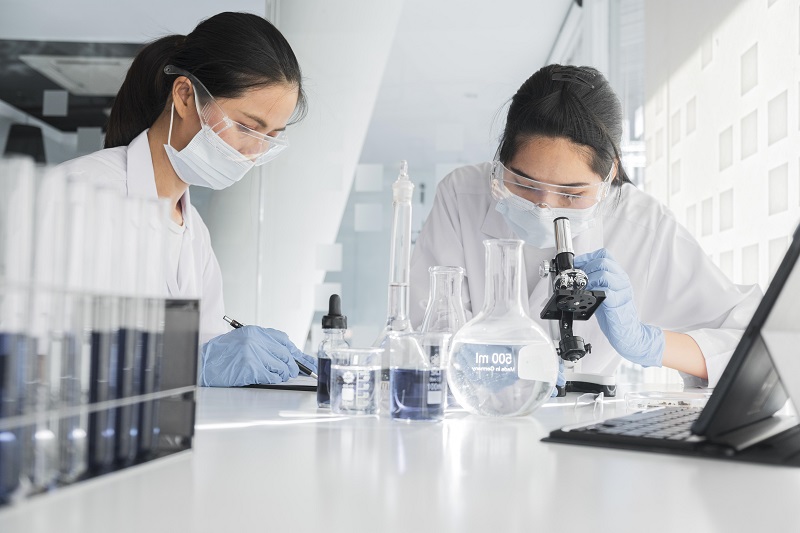Tác dụng hạ đường huyết của lá cây chủ yếu mới được ghi nhận trong các thí nghiệm trên động vật.