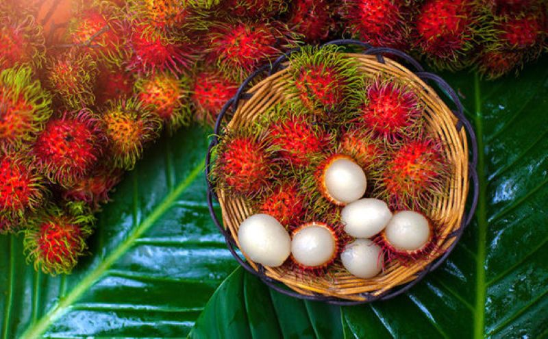 Người tiểu đường chỉ nên ăn 4 đến 6 quả chôm chôm mỗi ngày