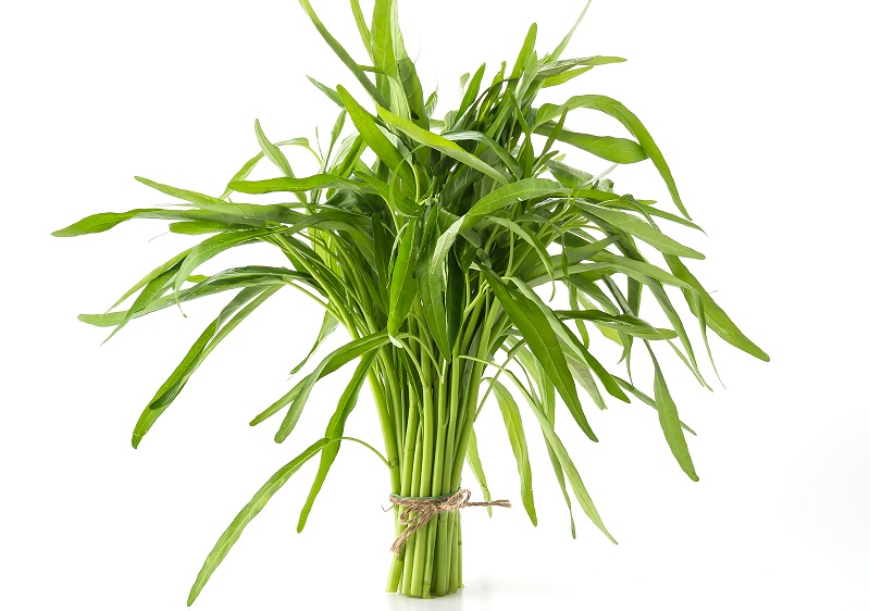 Rau muống là một trong những loại rau thường được nhắc đến khi nói về rau lang kỵ với thực phẩm nào
