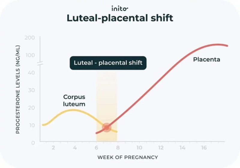 Progesterone là một trong những chỉ số nội tiết cần được theo dõi trong 3 tháng đầu thai kỳ