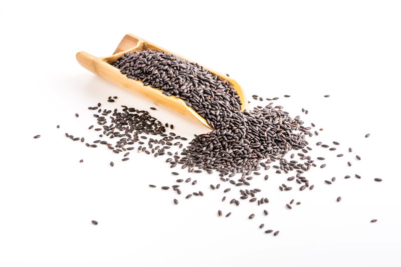 Hạt chia