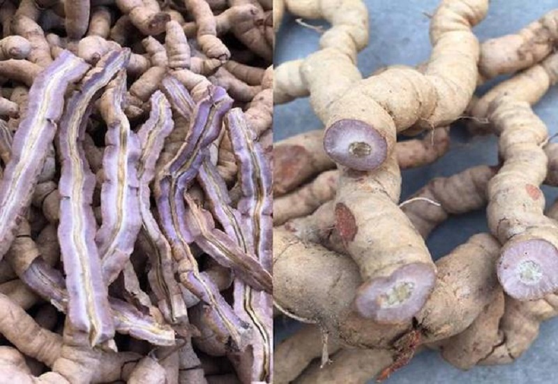 Một số vị thuốc bổ thận dương như ba kích, dâm dương hoắc, nhục thung dung, đỗ trọng, phá cố chỉ và nhung hươu