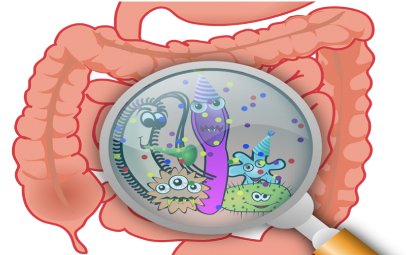 Vi sinh vật gây nhiễm khuẩn đường ruột thường là những loại nào?
