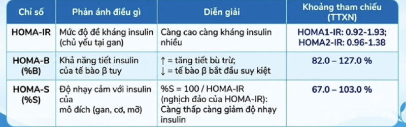  Xét nghiệm bộ chỉ số HOMA giúp phát hiện sớm những rối loạn chuyển hóa tiềm ẩn  