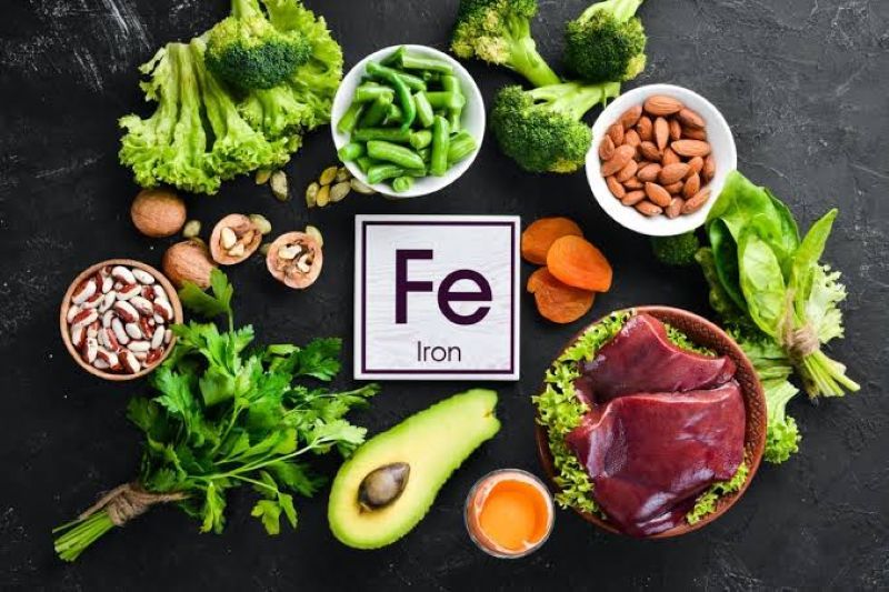 Sắt là thành phần cấu tạo nên Hemoglobin – protein chịu trách nhiệm vận chuyển oxy trong tế bào hồng cầu đi khắp cơ thể