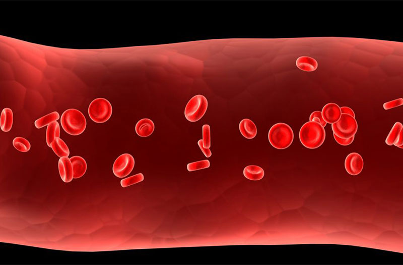 Tác nhân gây độ đàn hồi thành mạch máu giảm và cách phòng ngừa